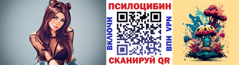где можно купить Шенкурск МЕГА tor Галлюциногенные грибы MAGIC MUSHROOMS